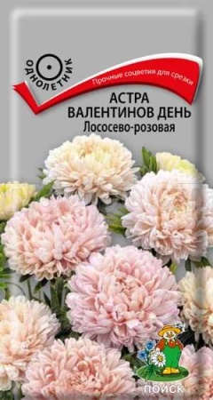 Астра Валентинов день Лососево-розовая 0,2гр  Астра Валентинов день Лососево-розовая 0,2гр