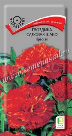 Гвоздика садовая Шабо Красная 0,1г Гвоздика садовая Шабо Красная 0,1г