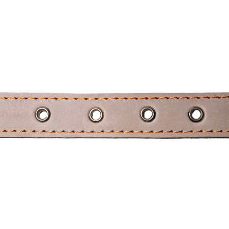 Ошейник кожа серый 1сл 25мм DONBARON