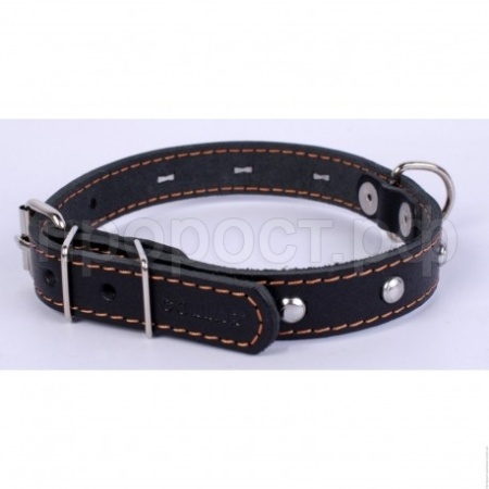 Ошейник кожа 17мм 1слойный с украшением 35-40см/40540 Ошейник кожа 17мм 1слойный с украшением 35-40см/40540