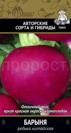 Редька китайская Барыня 2г  Редька китайская Барыня 2г