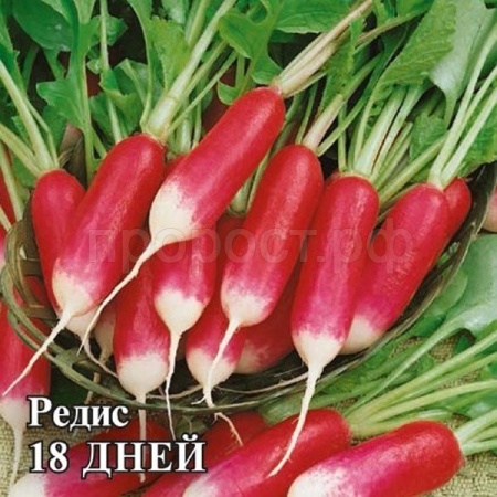 Редис 18 Дней 500г Редис 18 Дней 500г