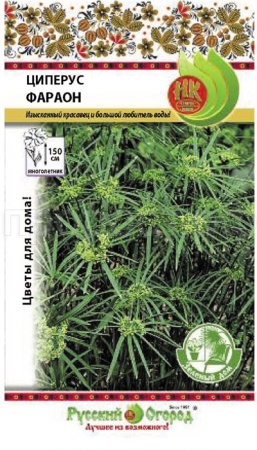 Циперус Фараон 0,01г