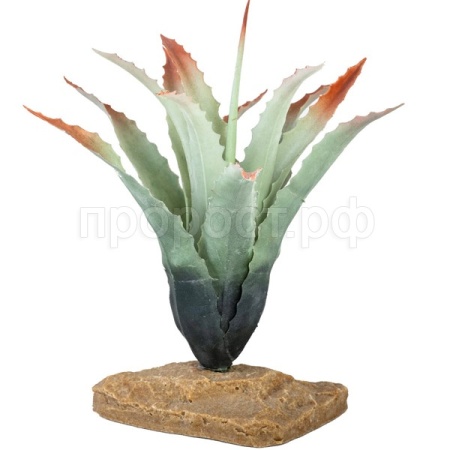 Растение LUCKY REPTILE Tillandsia 20см (Германия) IF-80 Растение LUCKY REPTILE Tillandsia 20см (Германия) IF-80