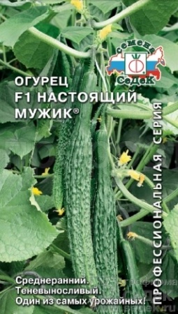 Огурец Настоящий мужик F1 0,2г Огурец Настоящий мужик F1 0,2г