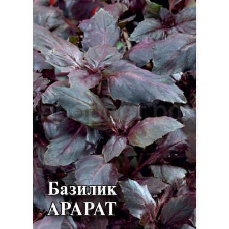 Базилик Арарарт 10 г Базилик Арарарт 10 г