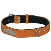 Ошейник кожа 30мм с пластиной на фетре Н/У 60-65см/41394 Ошейник кожа 30мм с пластиной на фетре Н/У 60-65см/41394