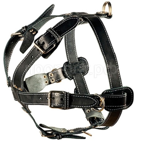 Шлейка кожа 35мм с треугольником двойная шея 72-92см грудь 95-105см/01001011/Каскад Шлейка кожа 35мм с треугольником двойная шея 72-92см грудь 95-105см/01001011/Каскад