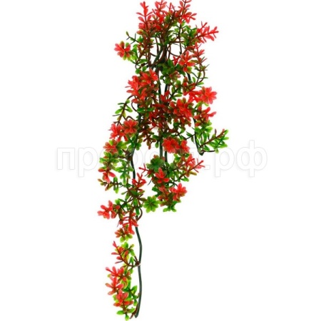Растение LUCKY REPTILE Turtle Plant Ludwigia 40см (Германия) TP-40 Растение LUCKY REPTILE Turtle Plant Ludwigia 40см (Германия) TP-40