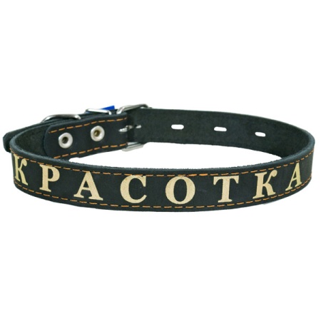 Ошейник кожа 26мм 1слойный на фетре прямой с надписью 53-58см/110000 Ошейник кожа 26мм 1слойный на фетре прямой с надписью 53-58см/110000