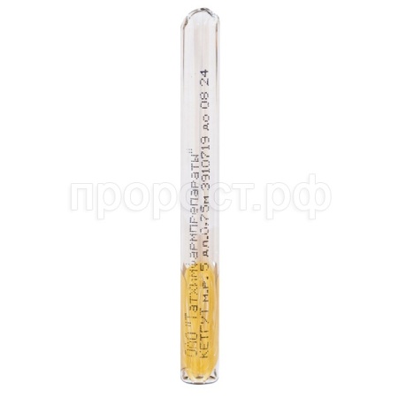 Кетгут простой полированный в ампулах мононить рассас №5, 0,75м/ВИК Кетгут простой полированный в ампулах мононить рассас №5, 0,75м/ВИК