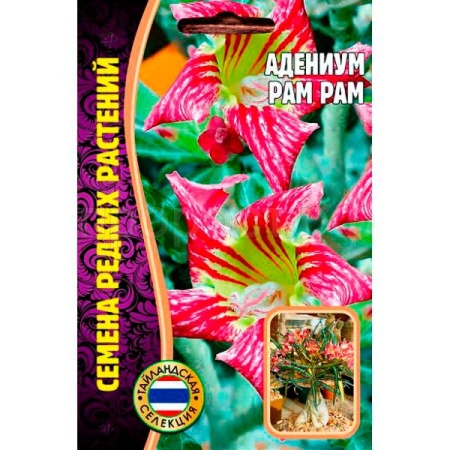 Адениум PAM PAM  3шт Адениум PAM PAM  3шт
