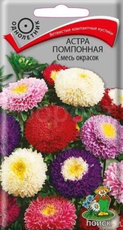 Астра помпонная Смесь 0,3г  Астра помпонная Смесь 0,3г