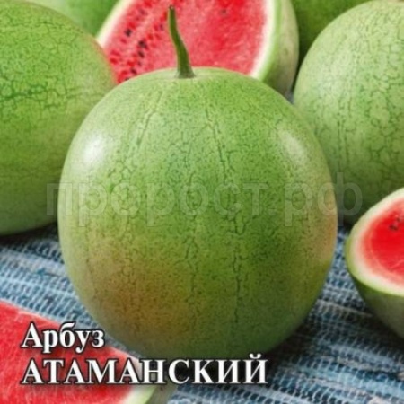 Арбуз Атаманский 50,0 г Арбуз Атаманский 50,0 г
