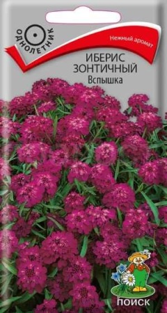 Иберис зонтичный Вспышка 0,3г  Иберис зонтичный Вспышка 0,3г