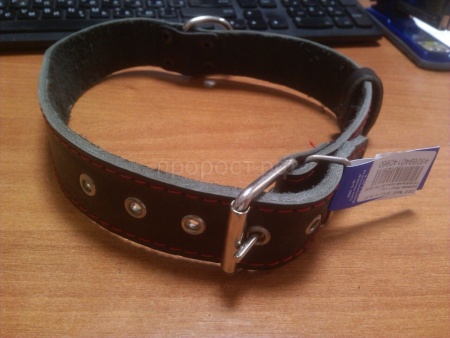 Ошейник кожа 35мм 1слойный Н/У 63-65см/40960 Ошейник кожа 35мм 1слойный Н/У 63-65см/40960