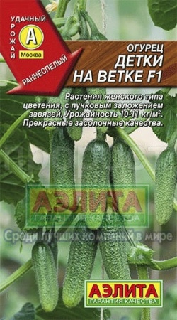 Огурец Детки на ветке F1 0,25г  Огурец Детки на ветке F1 0,25г