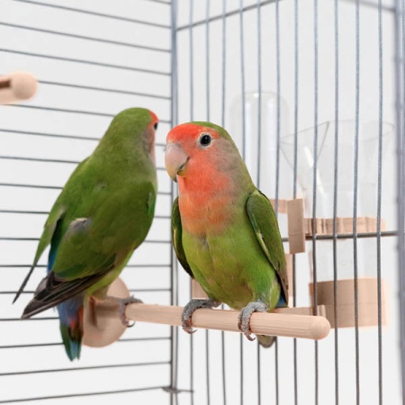 Клетка д/птиц ЛОРА-2 ECO 58*40*88см (укомплект) 2 секции бежевая/4611/Дарэлл