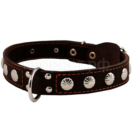 Ошейник кожа 35мм двойной с украшением и кольцом посередине 55-64см/00035043/Каскад/