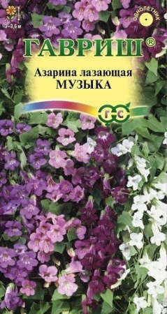 Азарина Музыка смесь 4шт Азарина Музыка смесь 4шт
