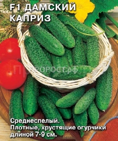 Огурец Дамский каприз F1 0,2г Огурец Дамский каприз F1 0,2г