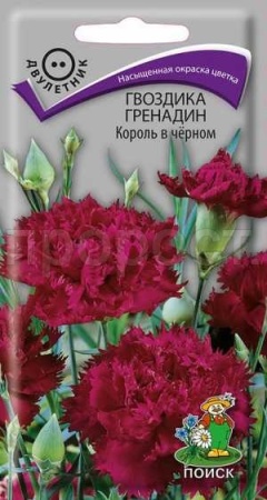 Гвоздика Гренадин Король в черном 0,1г Гвоздика Гренадин Король в черном 0,1г