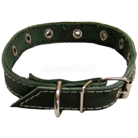 Ошейник кожа зелёный 1сл 20мм DONBARON Ошейник кожа зелёный 1сл 20мм DONBARON
