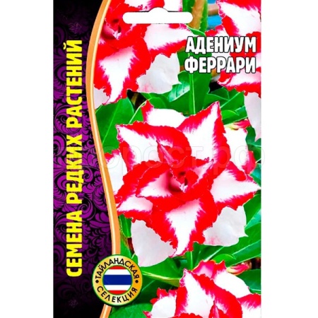 Адениум Феррари 3шт Адениум Феррари 3шт