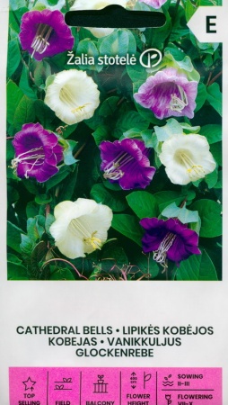 Кобея Гжельские узоры, смесь сортов 0,45г