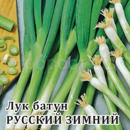 Лук Батун Русский Зимний 10 г Лук Батун Русский Зимний 10 г