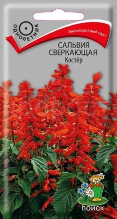 Сальвия сверкающая Костер 0,1г Сальвия сверкающая Костер 0,1г