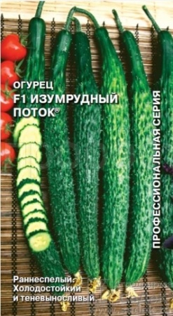 Огурец Изумрудный Поток F1 0,2г Огурец Изумрудный Поток F1 0,2г