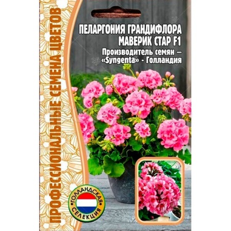 Редкие растения Пеларгония грандифлора Маверик Старт F1 3шт Редкие растения Пеларгония грандифлора Маверик Старт F1 3шт