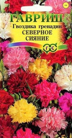 Гвоздика гренадин Северное сияние смесь 0,1г Гвоздика гренадин Северное сияние смесь 0,1г