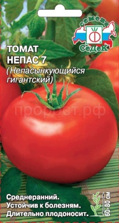 Томат Непас 7 (Непасынкующийся Гигантский) 0,1г Томат Непас 7 (Непасынкующийся Гигантский) 0,1г