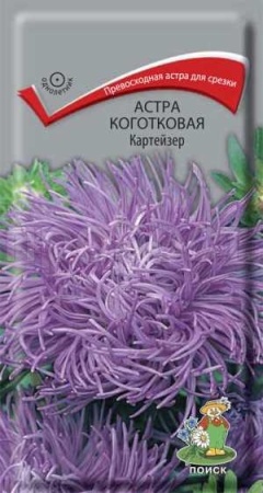 Астра коготковая Картейзер 0,3г  Астра коготковая Картейзер 0,3г