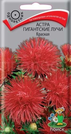 Астра Гигантские лучи Красная 0,3г Астра Гигантские лучи Красная 0,3г