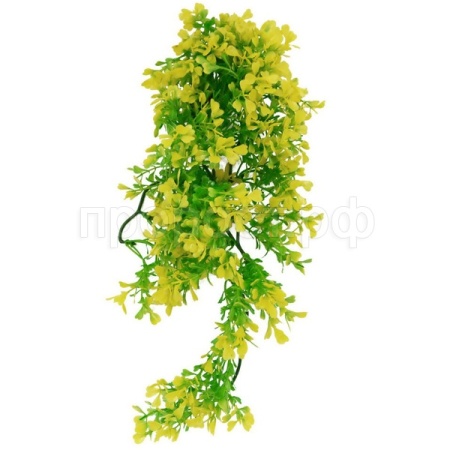 Растение LUCKY REPTILE Turtle Plant Horn Bacopa 40см (Германия) TP-44 Растение LUCKY REPTILE Turtle Plant Horn Bacopa 40см (Германия) TP-44