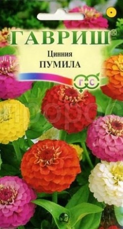 Цинния Пумила махр. смесь 0,5г Цинния Пумила махр. смесь 0,5г