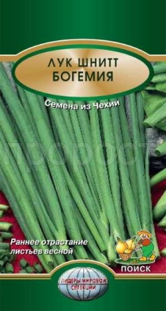 Лук шнитт Богемия 0,5г Лук шнитт Богемия 0,5г